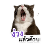 840689973