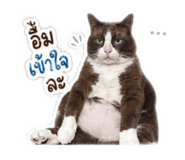 840689984