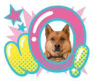 840690256