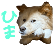 840691867