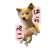 840691870