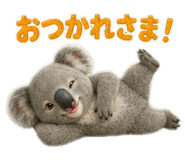 840692204