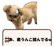840692672