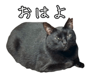 840693441