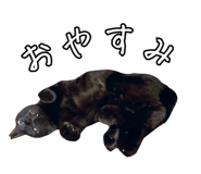 840693444