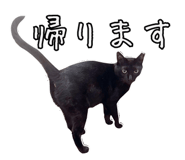 840693452