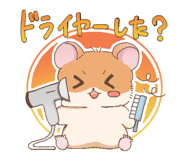 840693862