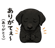 840694143