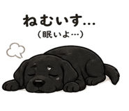 840694147