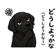 840694157