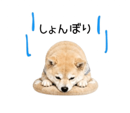 840694359