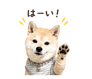 840694360