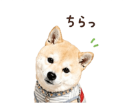 840694361