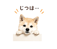 840694362
