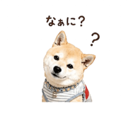 840694363
