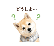 840694368