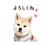 840694373