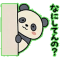 840694564