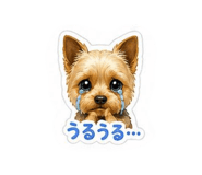 840694699