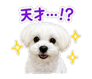 840695341