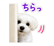 840695344