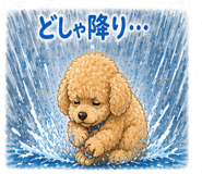 840696204