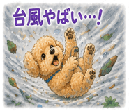 840696210