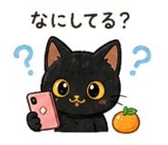 840696554
