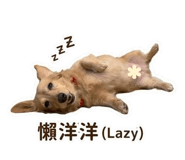 840698237