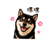 840699010