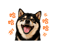840699025