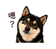 840699026