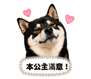 840699040