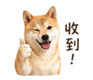 840699443