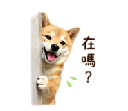 840699450