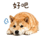 840699451