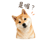 840699455