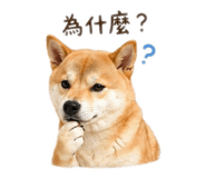 840699457