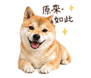 840699458