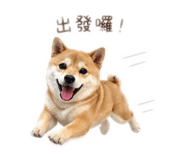 840699463