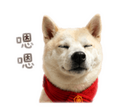 840699895