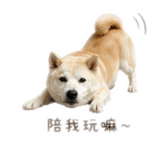 840699896