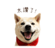 840699904