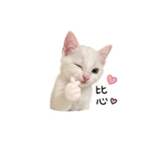 840699964