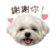 840700052