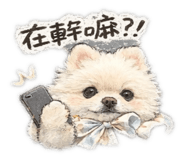 840701129