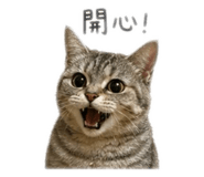 840701594