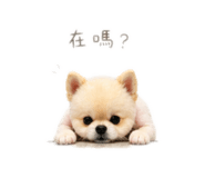 840701730