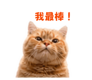 840702138