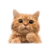 840702143